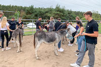 2 Teambuilding mit Tieren